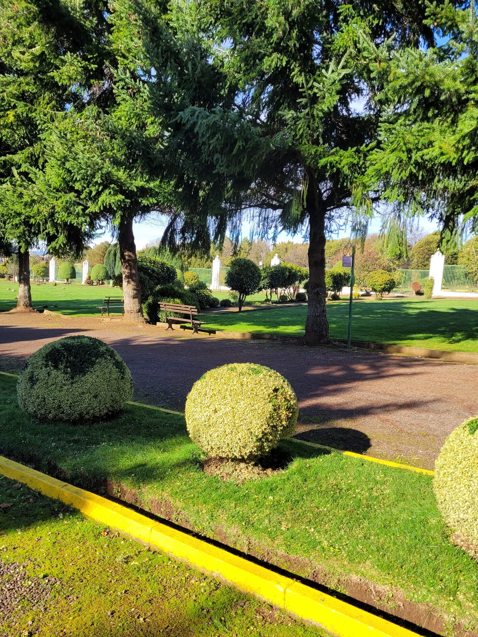 Senderos y Árboles